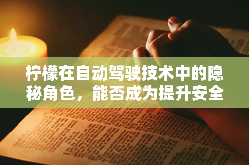 柠檬在自动驾驶技术中的隐秘角色，能否成为提升安全性的关键？