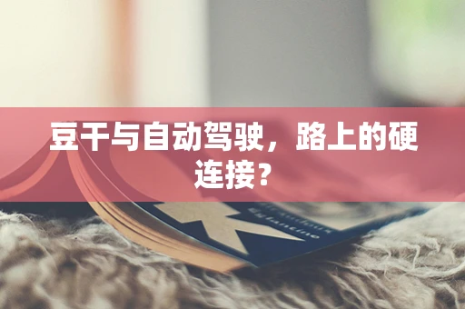 豆干与自动驾驶，路上的硬连接？