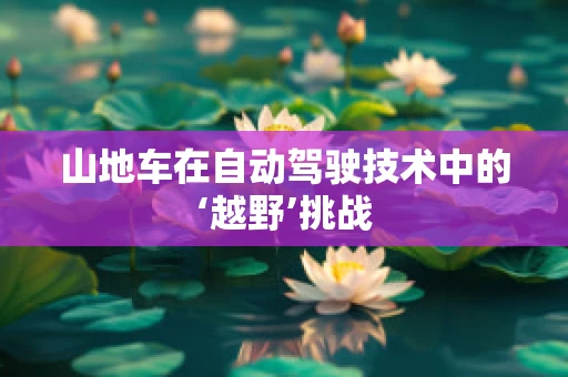 山地车在自动驾驶技术中的‘越野’挑战