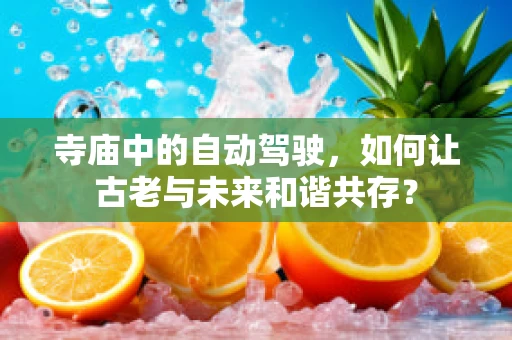 寺庙中的自动驾驶，如何让古老与未来和谐共存？