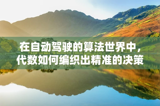 在自动驾驶的算法世界中，代数如何编织出精准的决策网？