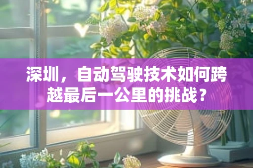 深圳，自动驾驶技术如何跨越最后一公里的挑战？