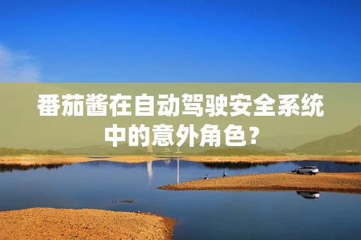 番茄酱在自动驾驶安全系统中的意外角色？