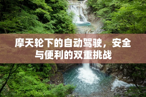 摩天轮下的自动驾驶，安全与便利的双重挑战