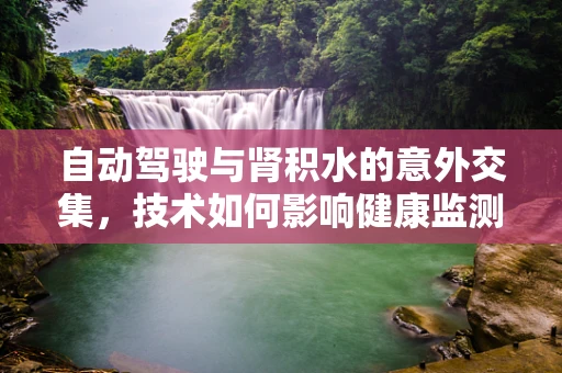 自动驾驶与肾积水的意外交集，技术如何影响健康监测？