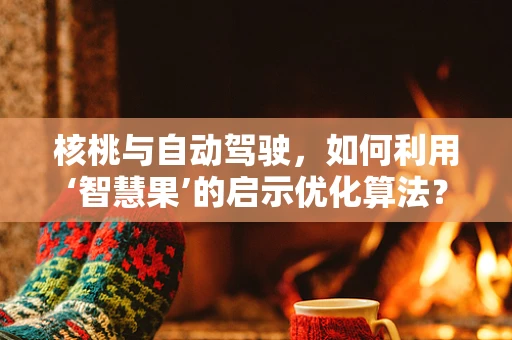 核桃与自动驾驶，如何利用‘智慧果’的启示优化算法？