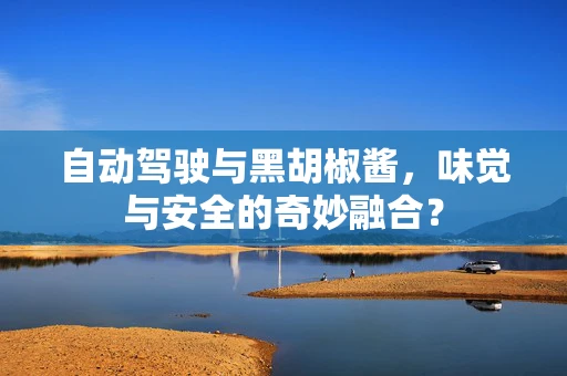 自动驾驶与黑胡椒酱，味觉与安全的奇妙融合？
