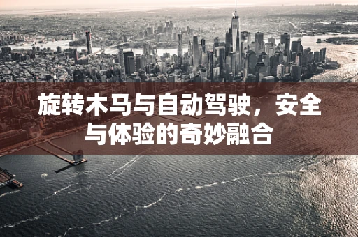 旋转木马与自动驾驶，安全与体验的奇妙融合