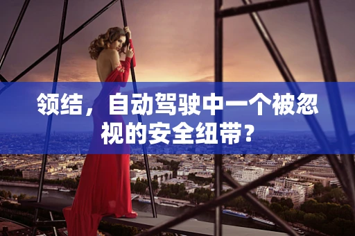 领结，自动驾驶中一个被忽视的安全纽带？