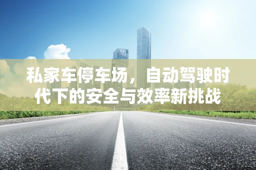 私家车停车场，自动驾驶时代下的安全与效率新挑战