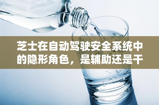 芝士在自动驾驶安全系统中的隐形角色，是辅助还是干扰？