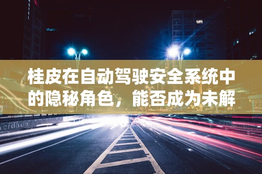 桂皮在自动驾驶安全系统中的隐秘角色，能否成为未解之谜的解药？