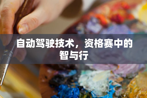 自动驾驶技术，资格赛中的智与行