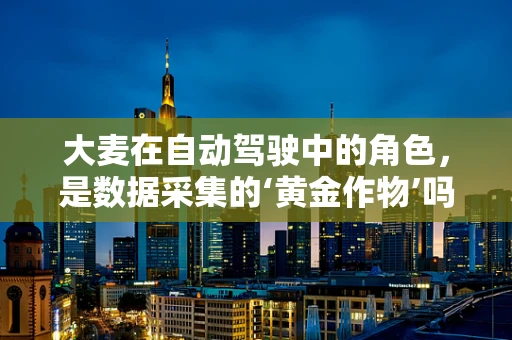大麦在自动驾驶中的角色，是数据采集的‘黄金作物’吗？