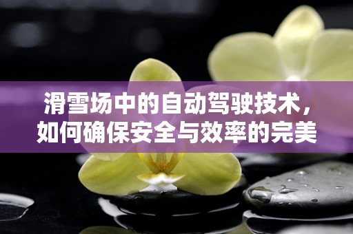 滑雪场中的自动驾驶技术，如何确保安全与效率的完美结合？