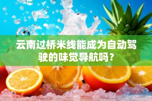 云南过桥米线能成为自动驾驶的味觉导航吗？