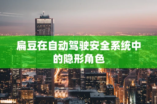 扁豆在自动驾驶安全系统中的隐形角色