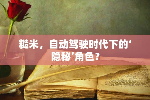 糙米，自动驾驶时代下的‘隐秘’角色？