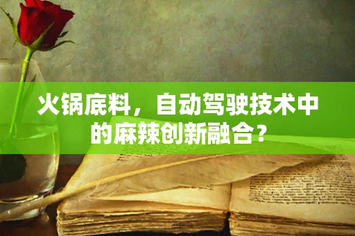 火锅底料，自动驾驶技术中的麻辣创新融合？