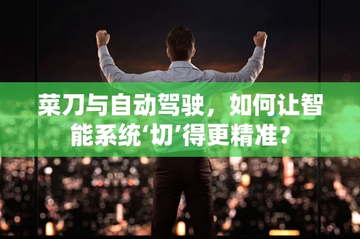 菜刀与自动驾驶，如何让智能系统‘切’得更精准？