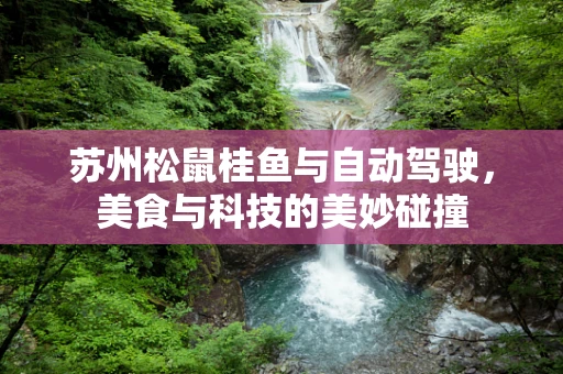 苏州松鼠桂鱼与自动驾驶，美食与科技的美妙碰撞
