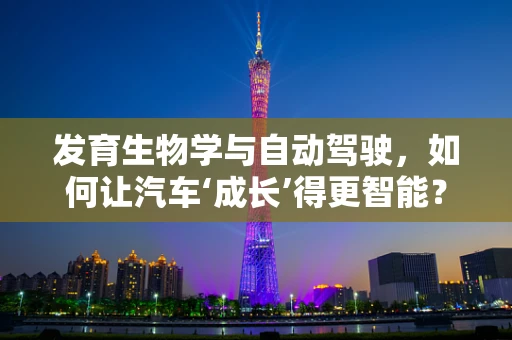 发育生物学与自动驾驶，如何让汽车‘成长’得更智能？