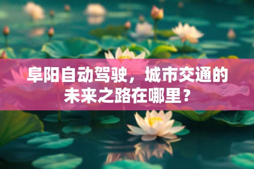 阜阳自动驾驶，城市交通的未来之路在哪里？