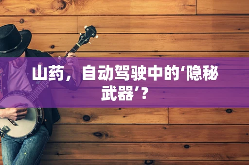 山药，自动驾驶中的‘隐秘武器’？