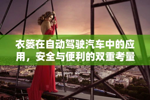 衣篓在自动驾驶汽车中的应用，安全与便利的双重考量
