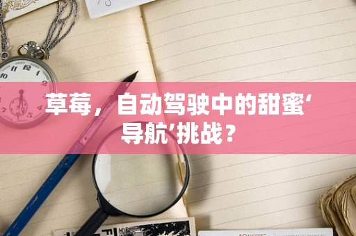 草莓，自动驾驶中的甜蜜‘导航’挑战？