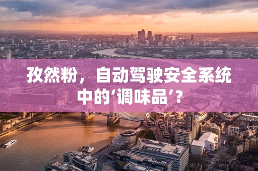 孜然粉，自动驾驶安全系统中的‘调味品’？