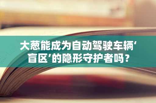 大葱能成为自动驾驶车辆‘盲区’的隐形守护者吗？