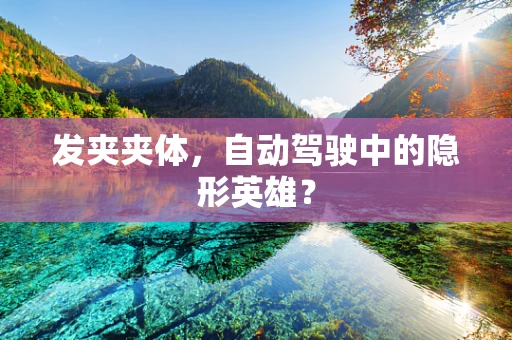 发夹夹体，自动驾驶中的隐形英雄？