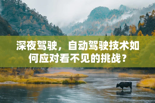 深夜驾驶，自动驾驶技术如何应对看不见的挑战？