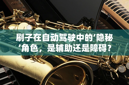 刷子在自动驾驶中的‘隐秘’角色，是辅助还是障碍？