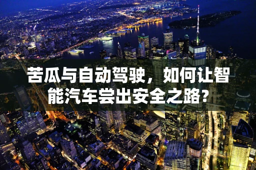 苦瓜与自动驾驶，如何让智能汽车尝出安全之路？
