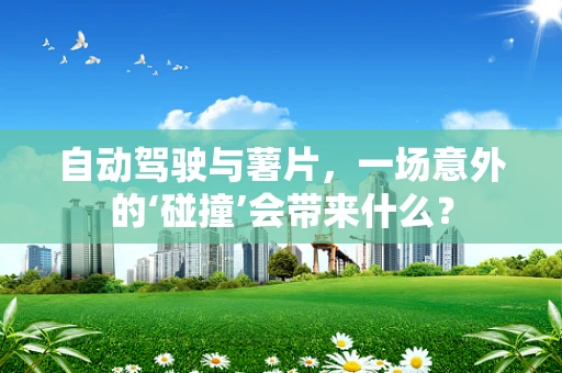自动驾驶与薯片，一场意外的‘碰撞’会带来什么？