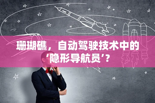 珊瑚礁，自动驾驶技术中的‘隐形导航员’？