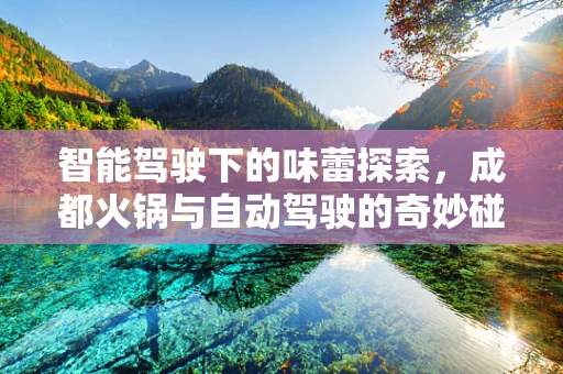 智能驾驶下的味蕾探索，成都火锅与自动驾驶的奇妙碰撞