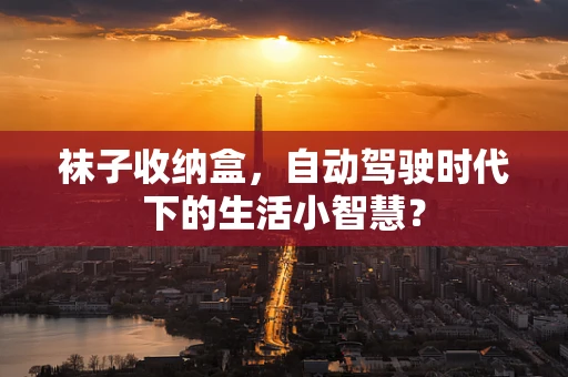 袜子收纳盒，自动驾驶时代下的生活小智慧？
