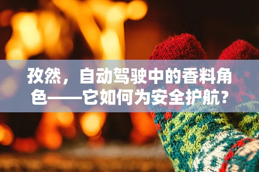 孜然，自动驾驶中的香料角色——它如何为安全护航？