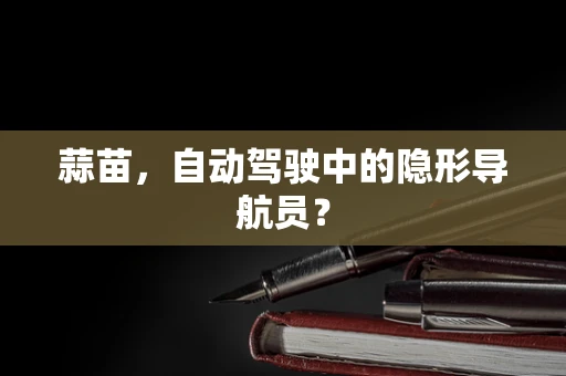蒜苗，自动驾驶中的隐形导航员？