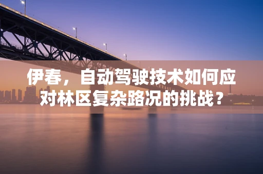 伊春，自动驾驶技术如何应对林区复杂路况的挑战？