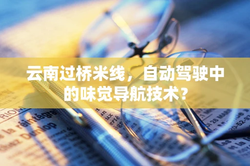 云南过桥米线，自动驾驶中的味觉导航技术？