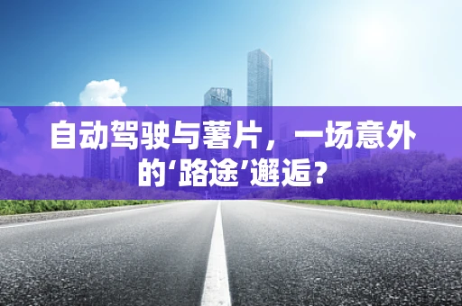 自动驾驶与薯片，一场意外的‘路途’邂逅？