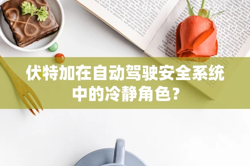 伏特加在自动驾驶安全系统中的冷静角色？