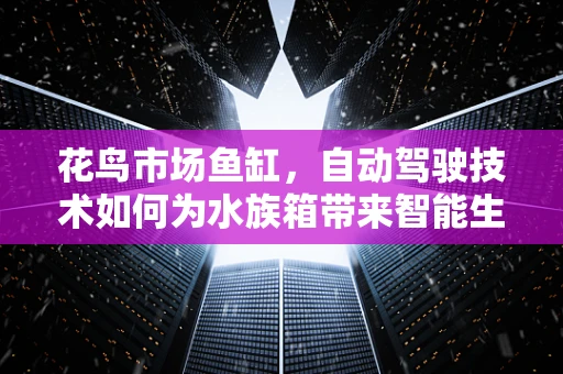 花鸟市场鱼缸，自动驾驶技术如何为水族箱带来智能生活？
