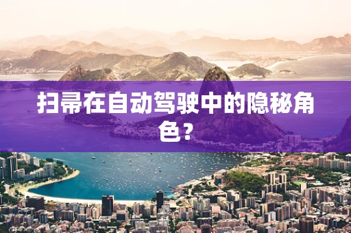 扫帚在自动驾驶中的隐秘角色？