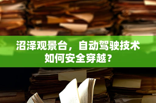 沼泽观景台，自动驾驶技术如何安全穿越？