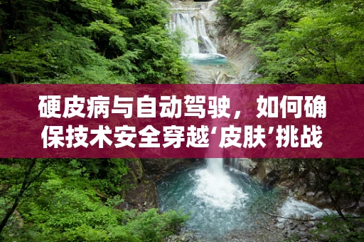 硬皮病与自动驾驶，如何确保技术安全穿越‘皮肤’挑战？